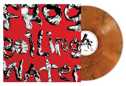 Frog boiling water diiv - frog,