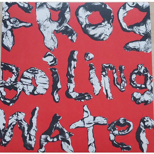 Diiv frog boiling water - -,