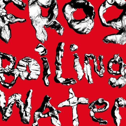 Diiv frog boiling - in, water