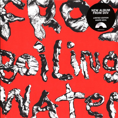 Diiv frog boiling water - diiv,
